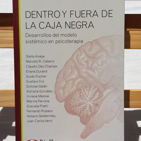 Dentro y fuera de la caja negra - Marcelo Ceberio y Horacio Serebrinsky