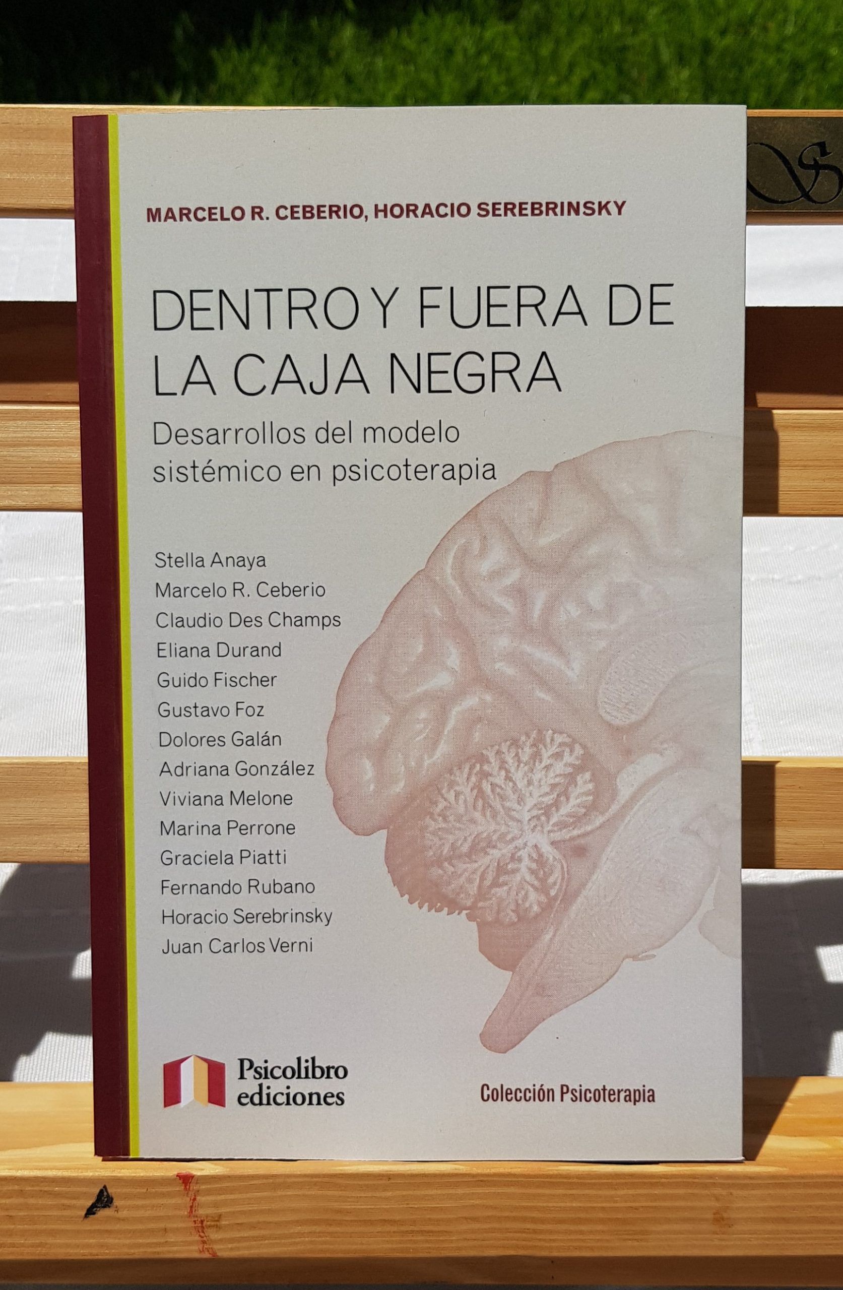 Dentro y fuera de la caja negra - Marcelo Ceberio y Horacio Serebrinsky
